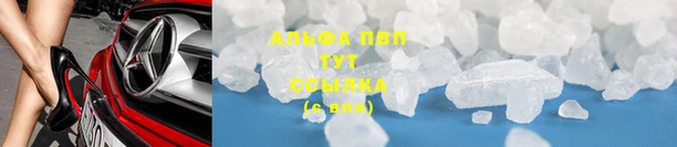 герыч Новодвинск