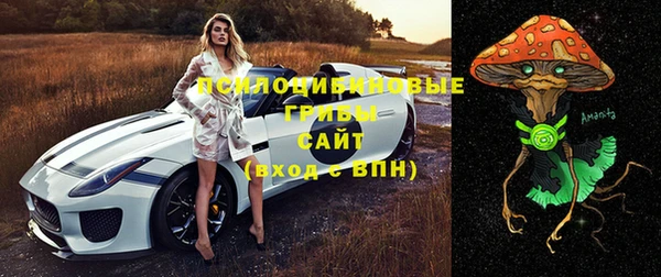 герыч Новодвинск