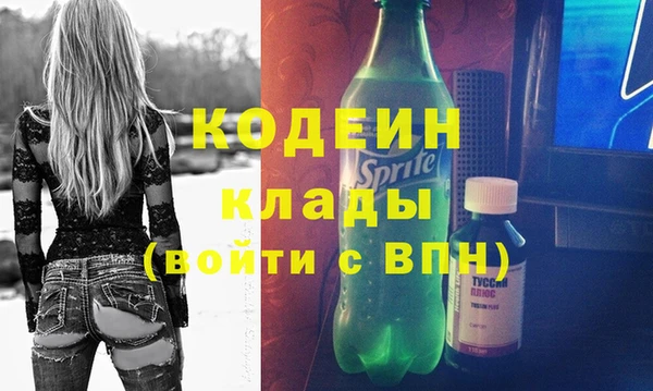 хмурый Новозыбков