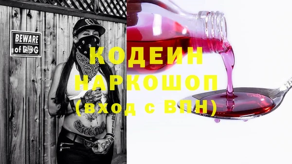 хмурый Новозыбков